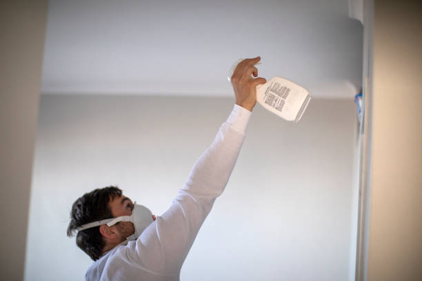 Mold Testing and Removal in Granger, IN