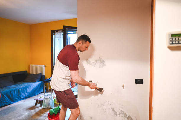 Best Black Mold Removal  in Granger, IN